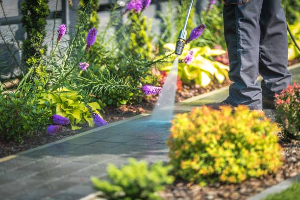 Best Gas Station Cleaning  in Cresco, IA