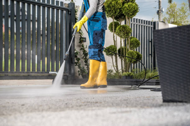 Best Driveway Pressure Washing  in Cresco, IA